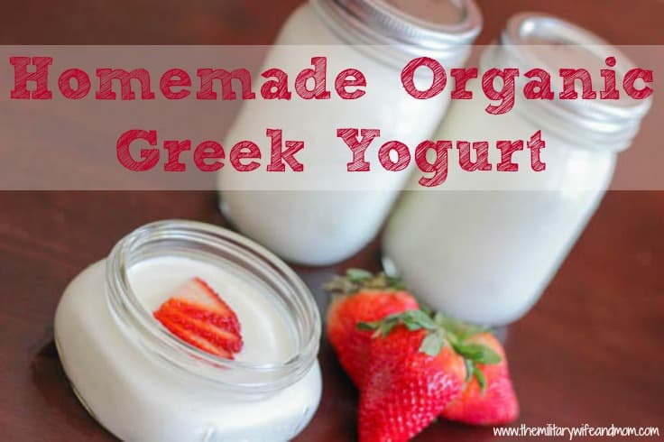 homemade organic greek yogurt