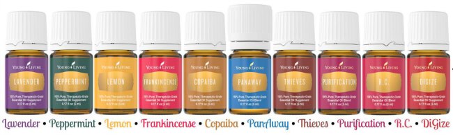 everyday essential oils young living starter kit