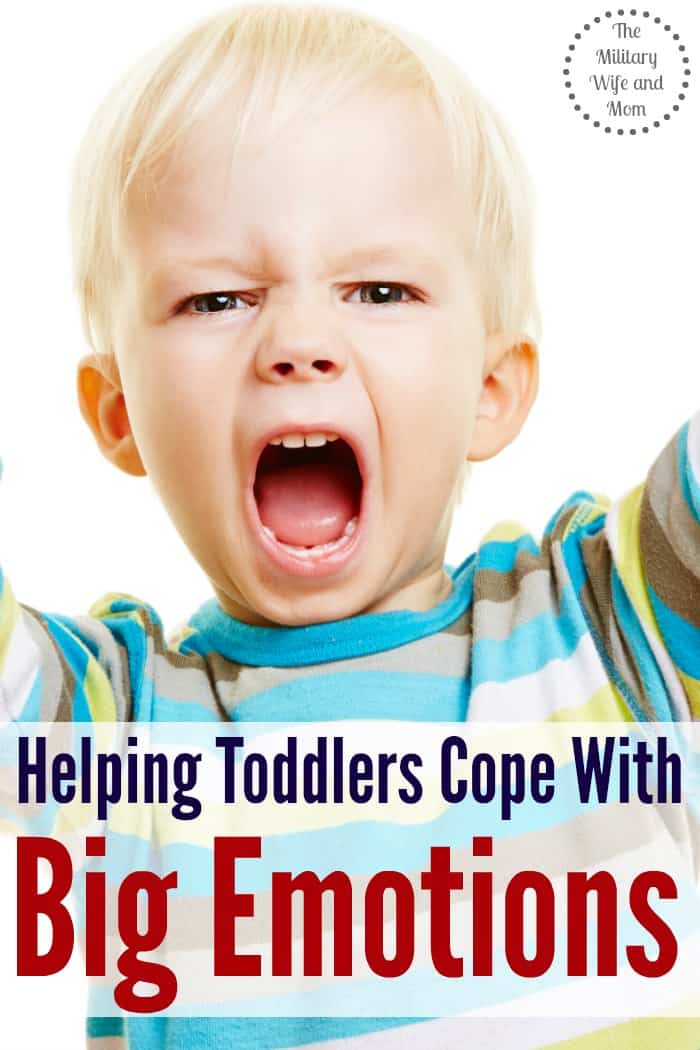GREAT tips for helping toddlers cope with big emotions--tantrums included! 