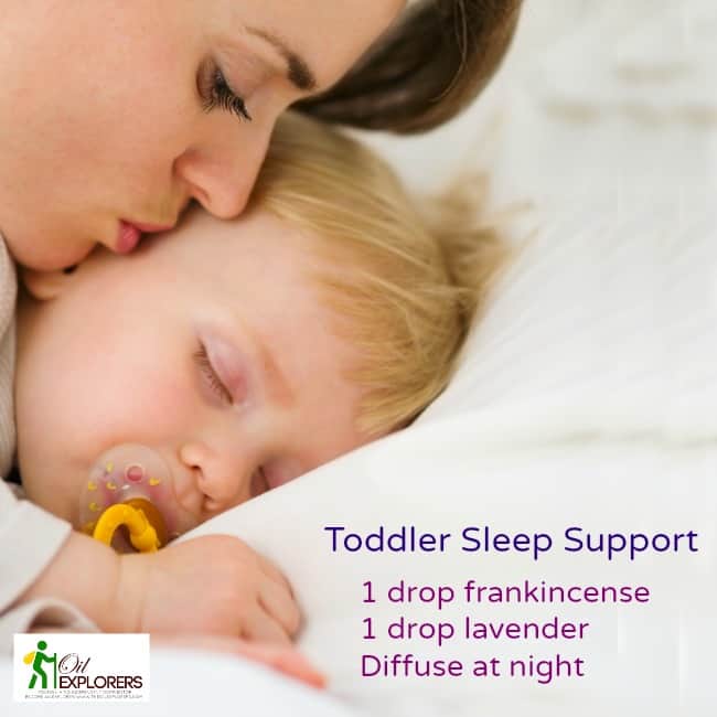 Toddler sleep support