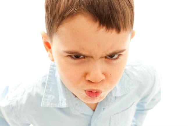 aggressive toddler behavior 4