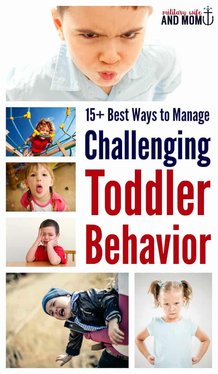 Aggressive toddler? Biting, hiting, kicking, whining, rude behavior--these are awesome ways to help stop these agressive behaviors in toddlers. 